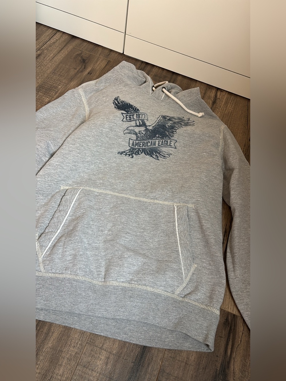 American Eagle Outfitters Light Gray Hoodie with Navy Eagle Graphic